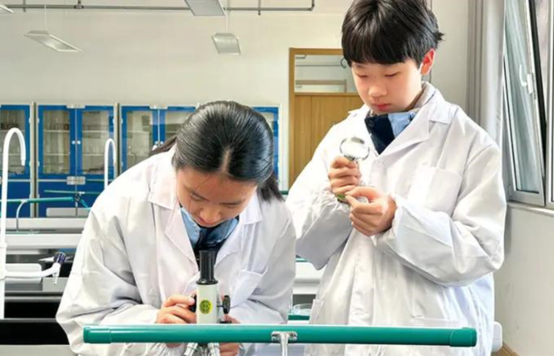清北师资 + 多元化出口！在开慧高中，发现你的 N 种可能！